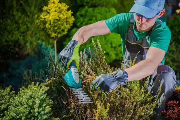 landscaping services West Alton